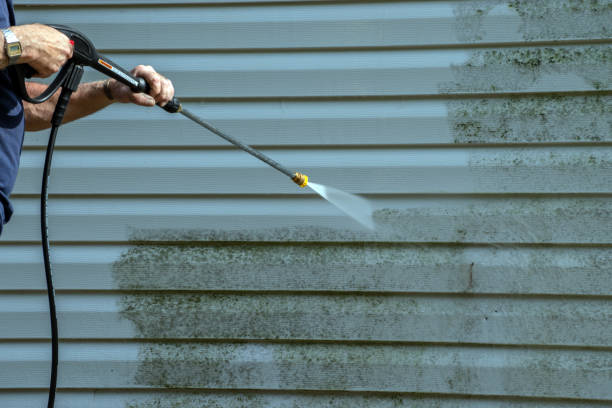 Best Gutter Cleaning  in Carle Place, NY